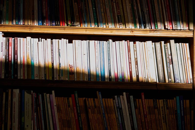 A library shelf of books in low afternoon sunlight, in ink duotone.